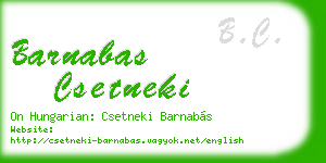 barnabas csetneki business card